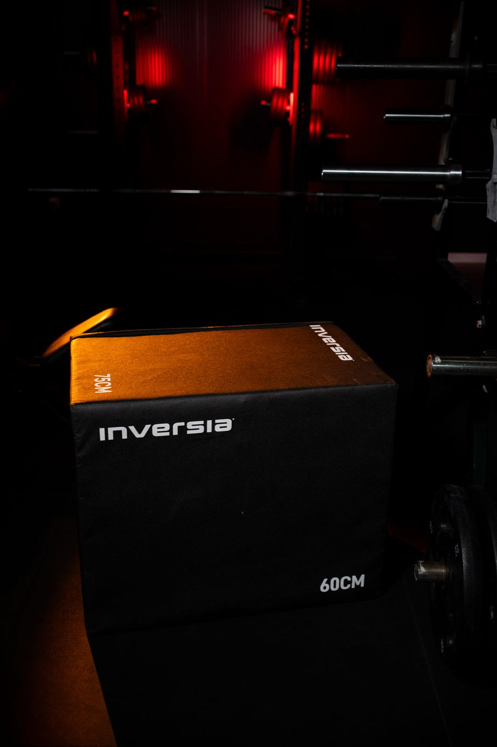 3-IN-1 HYBRID PLYO BOX