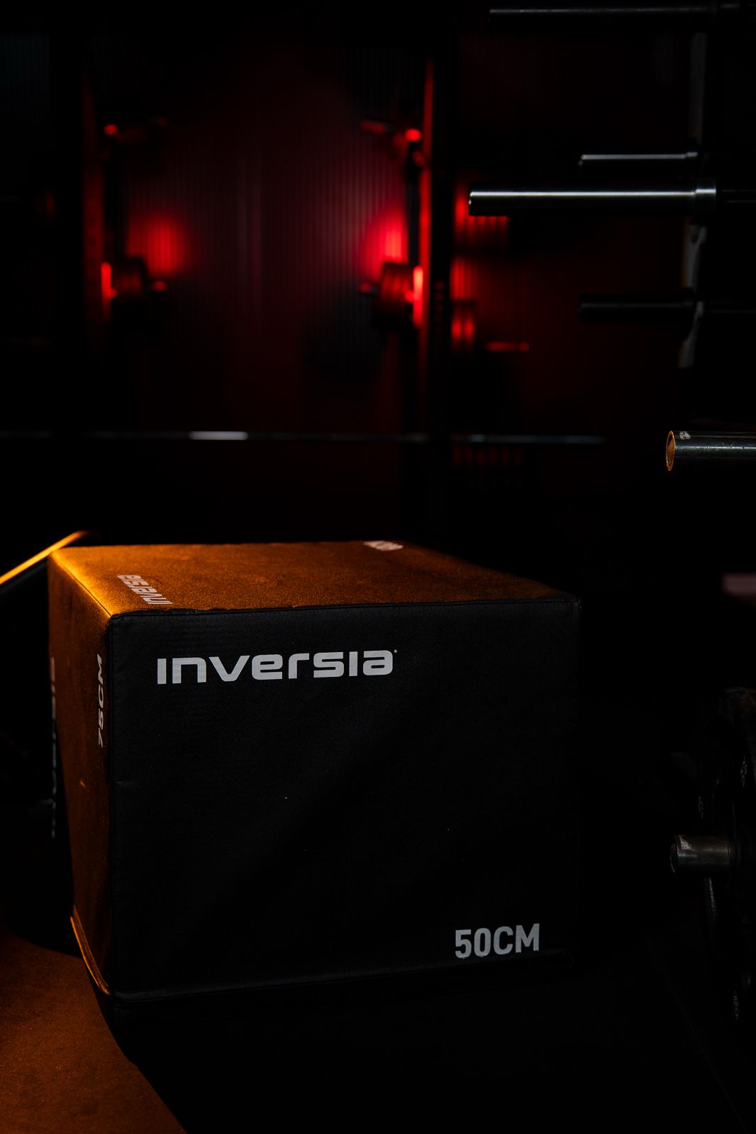 3-IN-1 HYBRID PLYO BOX
